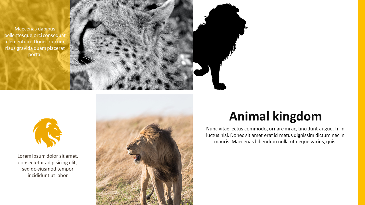 Incredible Zoo Presentation Template Slide Diagram
